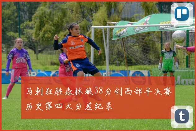 马刺狂胜森林狼38分创西部半决赛历史第四大分差纪录