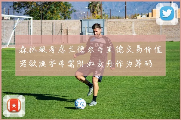 森林狼考虑兰德尔与里德交易价值若欲换字母需附加麦丹作为筹码